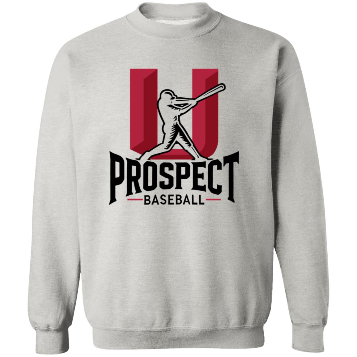 Prospect U 2 Unisex Crewneck Pullover Sweatshirt