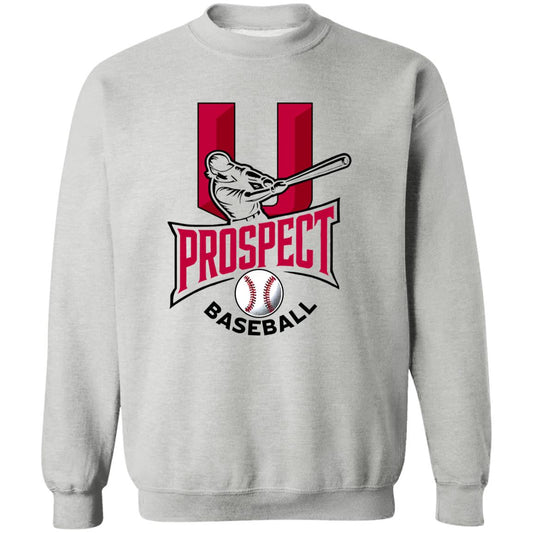 Prospect U 3 Unisex Crewneck Pullover Sweatshirt