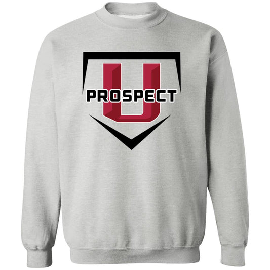 Prospect U 1 Unisex Crewneck Pullover Sweatshirt